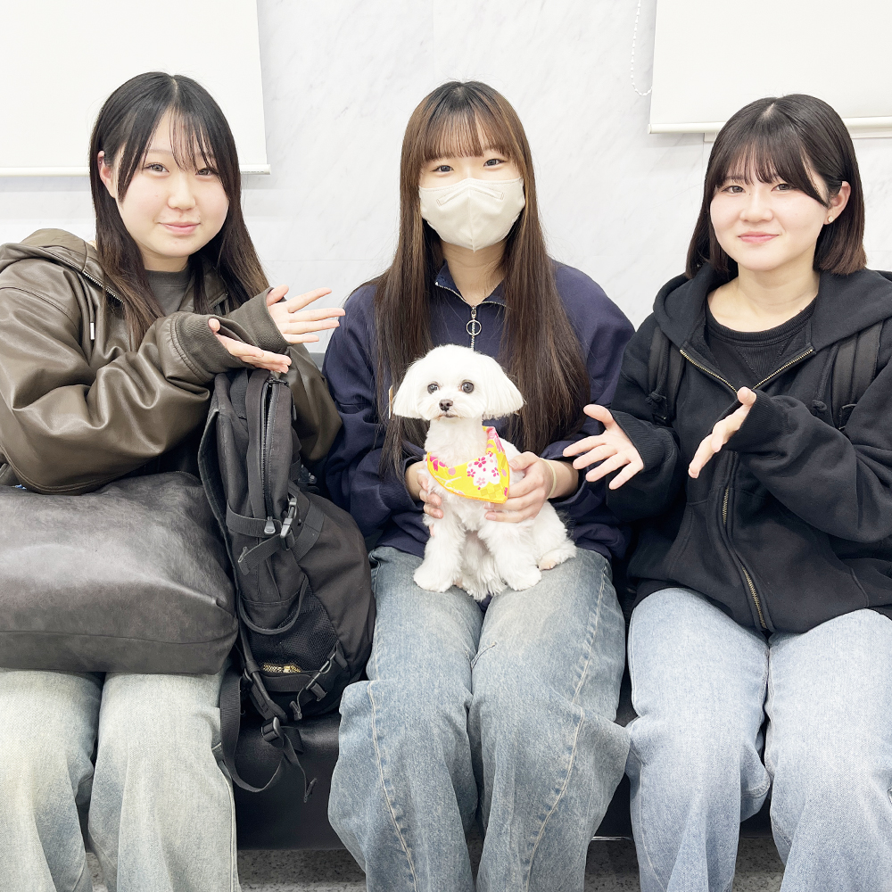 モデル犬の新しいおうちが決まりました！PART③